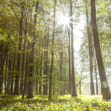 펜션 Peaceful Sleep, Nature And Calm On Samso Kolby